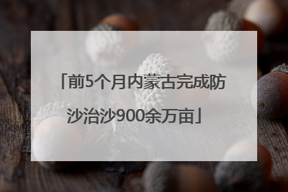 前5个月内蒙古完成防沙治沙900余万亩
