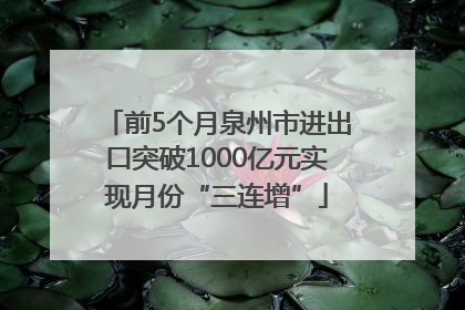 前5个月泉州市进出口突破1000亿元实现月份“三连增”