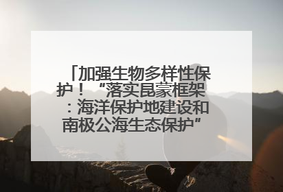 加强生物多样性保护！“落实昆蒙框架：海洋保护地建设和南极公海生态保护”主题论坛将举办