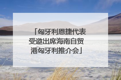 匈牙利恩捷代表受邀出席海南自贸港匈牙利推介会
