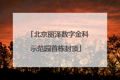 北京丽泽数字金科示范园首栋封顶