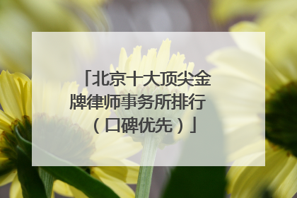 北京十大顶尖金牌律师事务所排行（口碑优先）