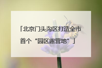北京门头沟区打造全市首个“园区露营地”