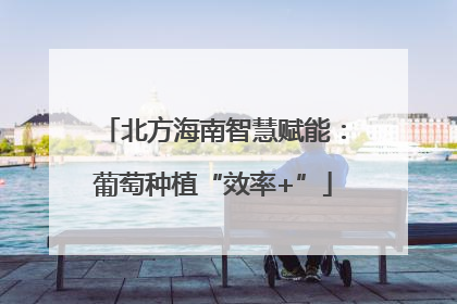 北方海南智慧赋能：葡萄种植“效率+”