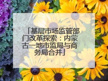 基层市场监管部门改革探索：内蒙古一地市监局与商务局合并