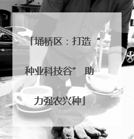 埇桥区：打造“种业科技谷” 助力强农兴种