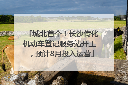 城北首个！长沙传化机动车登记服务站开工，预计8月投入运营