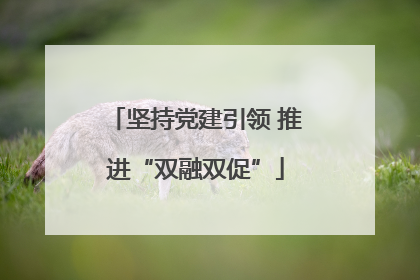 坚持党建引领 推进“双融双促”