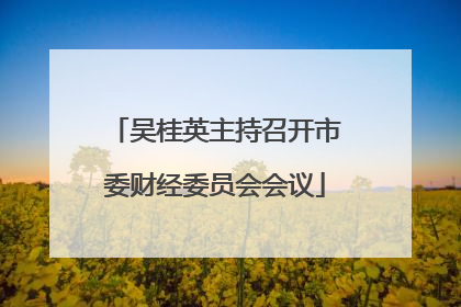 吴桂英主持召开市委财经委员会会议