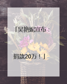 吴艳妮宣布：捐款20万！