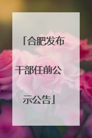 合肥发布干部任前公示公告