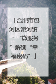 合肥市包河区淝河镇：“微服务”解锁“幸福密码”