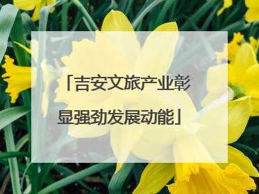 吉安文旅产业彰显强劲发展动能