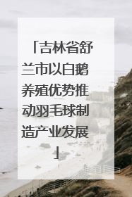 吉林省舒兰市以白鹅养殖优势推动羽毛球制造产业发展