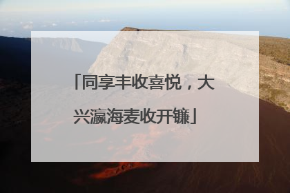 同享丰收喜悦，大兴瀛海麦收开镰