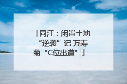 同江：闲置土地“逆袭”记 万寿菊“C位出道”