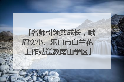 名师引领共成长，峨眉实小、乐山市白兰花工作站送教南山学区