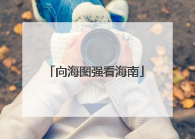 向海图强看海南