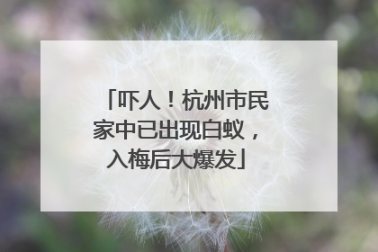 吓人！杭州市民家中已出现白蚁，入梅后大爆发
