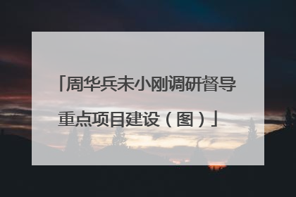 周华兵未小刚调研督导重点项目建设（图）
