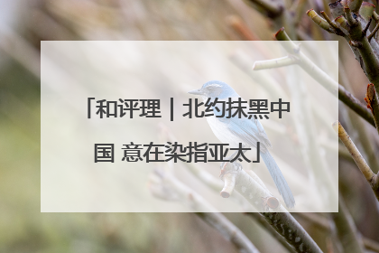 和评理｜北约抹黑中国 意在染指亚太