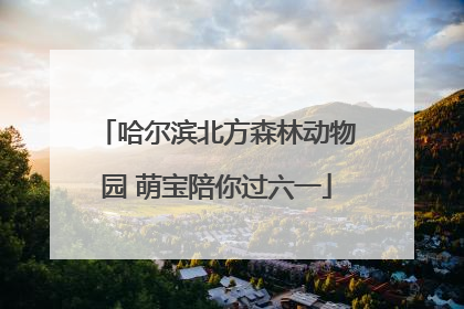 哈尔滨北方森林动物园 萌宝陪你过六一