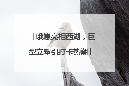 哦崽亮相西湖，巨型立塑引打卡热潮