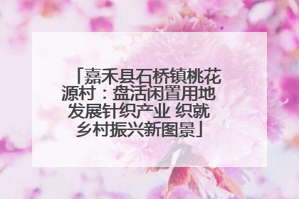 嘉禾县石桥镇桃花源村：盘活闲置用地发展针织产业 织就乡村振兴新图景
