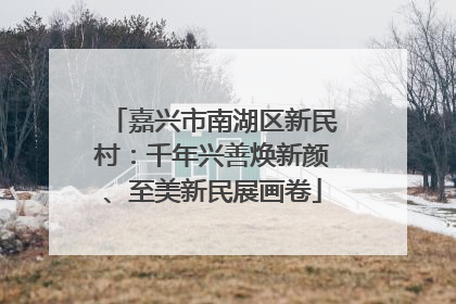 嘉兴市南湖区新民村：千年兴善焕新颜、至美新民展画卷
