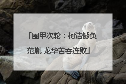 围甲次轮：柯洁憾负范胤 龙华苦吞连败