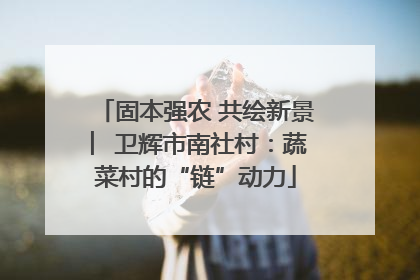 固本强农 共绘新景 ︳卫辉市南社村：蔬菜村的“链”动力
