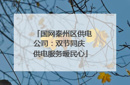 国网秦州区供电公司：双节同庆 供电服务暖民心
