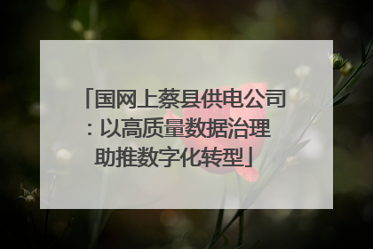 国网上蔡县供电公司：以高质量数据治理 助推数字化转型