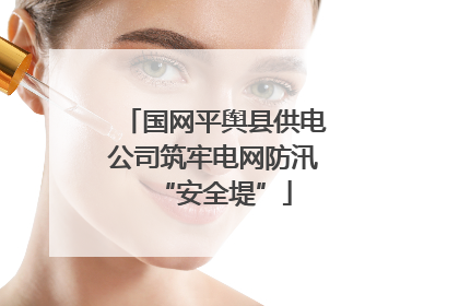 国网平舆县供电公司筑牢电网防汛“安全堤”