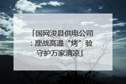 国网浚县供电公司：鏖战高温“烤”验 守护万家清凉