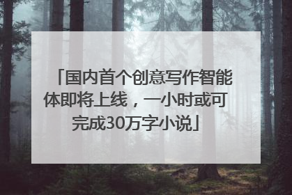 国内首个创意写作智能体即将上线，一小时或可完成30万字小说
