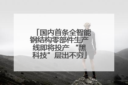 国内首条全智能钢结构零部件生产线即将投产 “黑科技”层出不穷