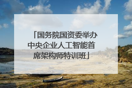 国务院国资委举办中央企业人工智能首席架构师特训班
