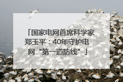 国家电网首席科学家郑玉平：40年守护电网“第一道防线”