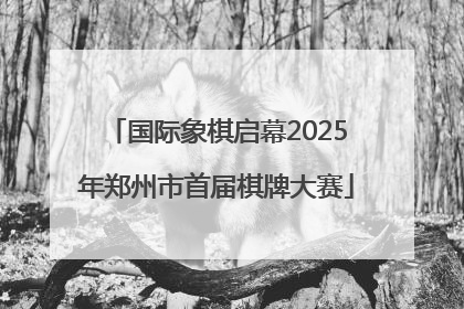 国际象棋启幕2025年郑州市首届棋牌大赛