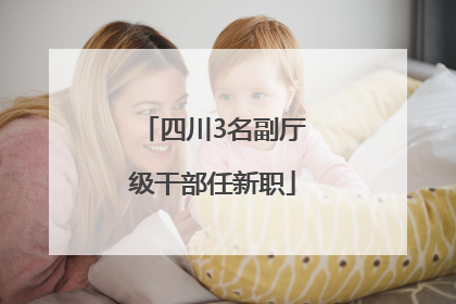 四川3名副厅级干部任新职
