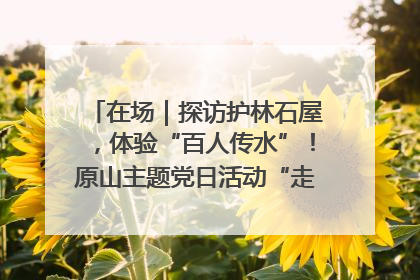 在场｜探访护林石屋，体验“百人传水”！原山主题党日活动“走新”更“走心”