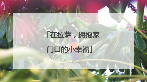 在拉萨，拥抱家门口的小幸福