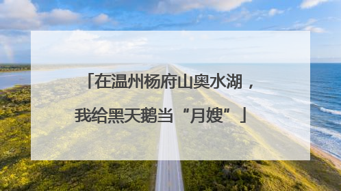 在温州杨府山奥水湖，我给黑天鹅当“月嫂”
