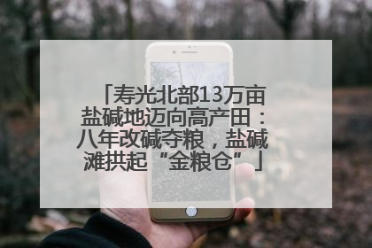 寿光北部13万亩盐碱地迈向高产田：八年改碱夺粮，盐碱滩拱起“金粮仓”