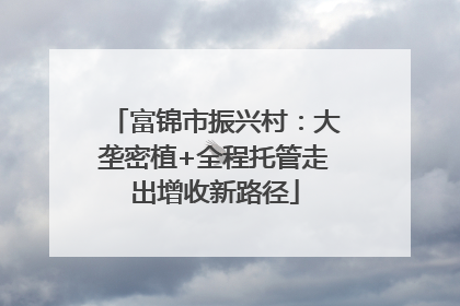 富锦市振兴村：大垄密植+全程托管走出增收新路径