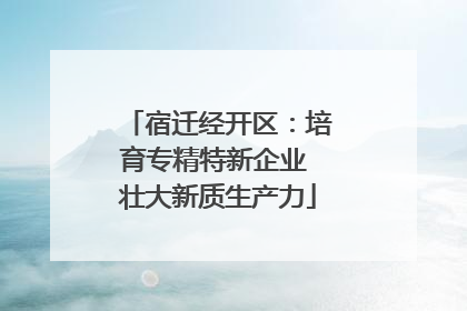 宿迁经开区：培育专精特新企业 壮大新质生产力