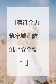 宿迁全力筑牢城市防汛“安全堤”