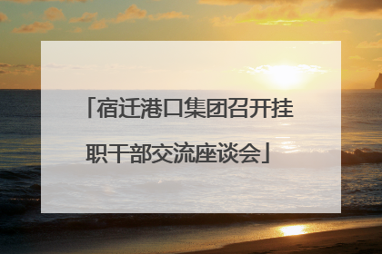 宿迁港口集团召开挂职干部交流座谈会