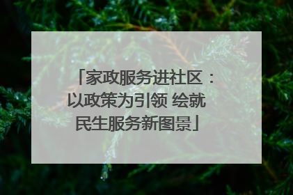 家政服务进社区：以政策为引领 绘就民生服务新图景